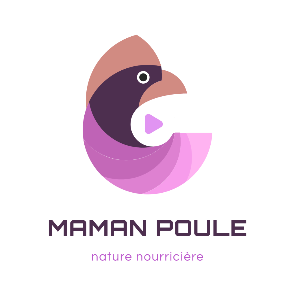 blog Maman Poule nature nourricière poulet poulette coq sarah rose wyandotte hybride