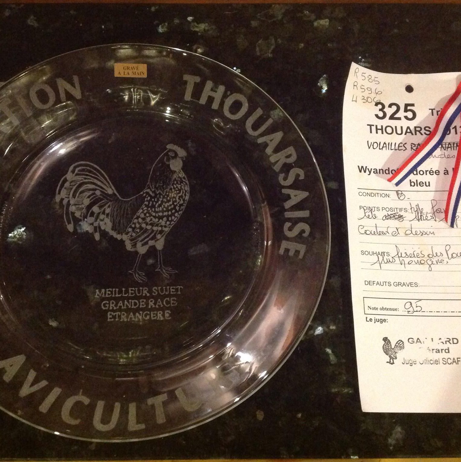 blog Maman Poule nature nourricière poulet poulette coq sarah rose wyandotte hybride