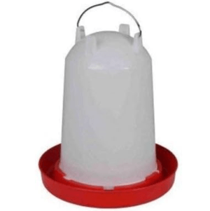 mamanpoule.blog sarah rose wyandotte poule couve couvade coq poule poulette poussin poulet race naine grande petite mirer plumes crottes abreuvoir mangeoire