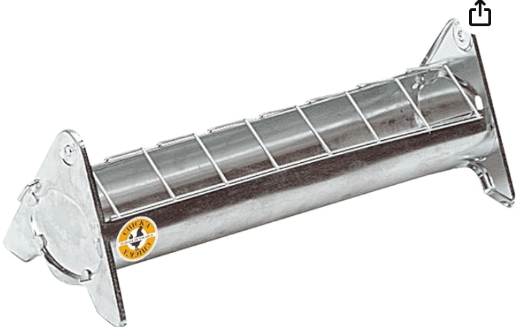 mamanpoule.blog sarah rose wyandotte poule couve couvade coq poule poulette poussin poulet race naine grande petite mirer plumes crottes