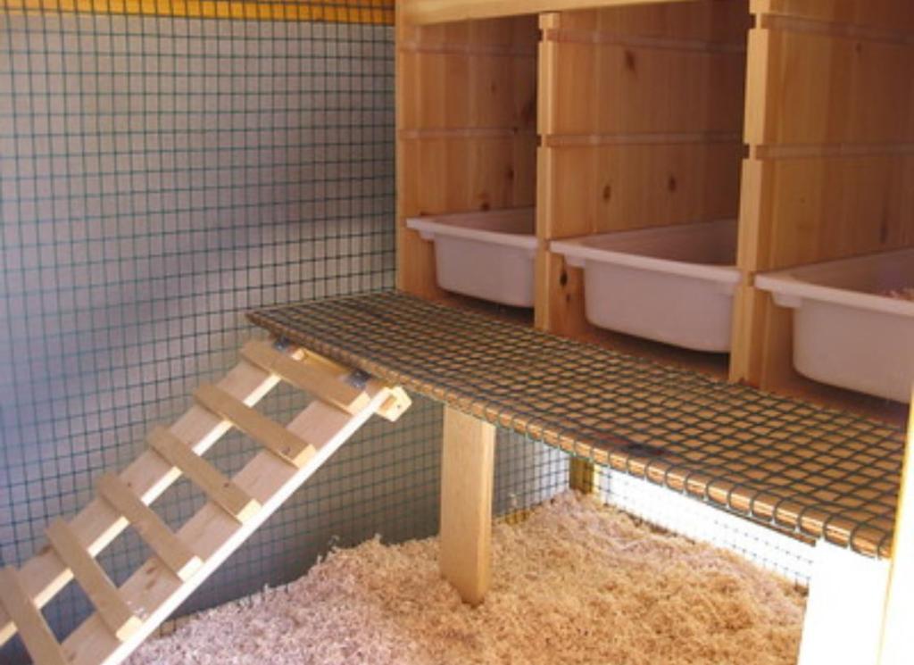 poulailler de classe mamanpoule blog wyandotte sarah rose poulailler poux rouges poule poulet paille chanvre lin foine copeaux de bois