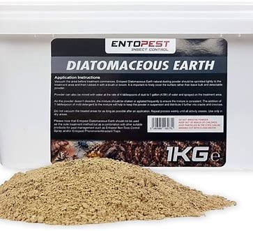 Diatom mamanpoule.blog